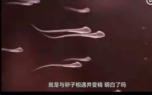 日本性教育科普动画，与时俱进的性教育