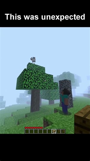 Wait for end 😂 #minecraft#gaming#shorts#bestminecraftclips#herobrine#shortsminecraft#viral