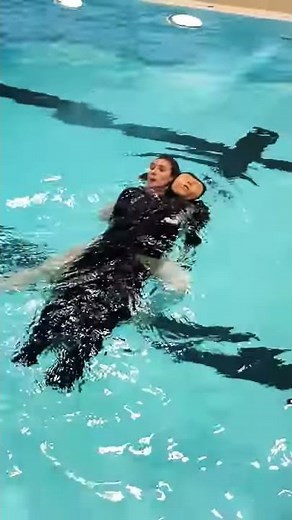 Ruth Lee Lifeguard Training Rescue Adult Manikin | Victim Carry 1 | Product Demo | Mannequin