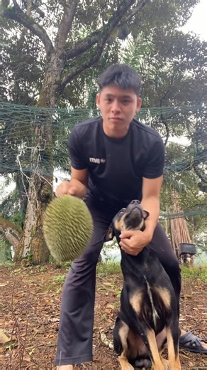 Gary Tay | #马来西亚 #04年 #榴莲 #爱你像榴莲#跳舞 #réel #vlog#fypage#fyp #搞笑 | Instagram