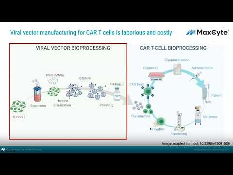 A cGMP Compatible, Non-Viral CAR T Cell Manufacturing Process