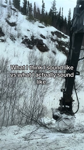 #Meme #MemeCut #WheneverWherever #work #winter #worklife #trucking #truckinglife #mulching #mulchinghead #mulchingmafia #mulchinglife