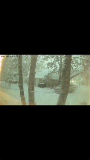 Snow fall Timelapse