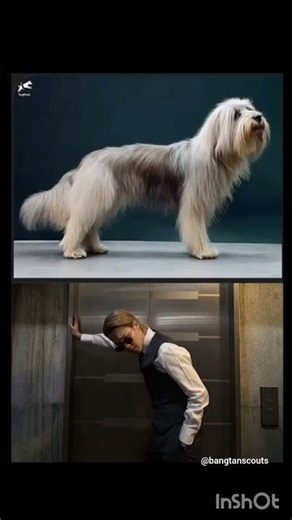 Namjoon Kissing...uhh *Teasing* jimin😅 "Jimin Stans check! ✅ in the comment section" #shorts#funny