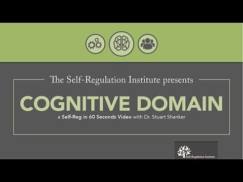 The Cognitive Domain | Self Regulation Institute with Dr. Stuart Shanker