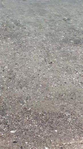 Exploring Madagascar: A Whimsical Journey