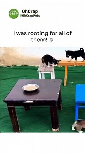 Notice how he succeeded when he tried again despite failing the first time. | Oh Crap