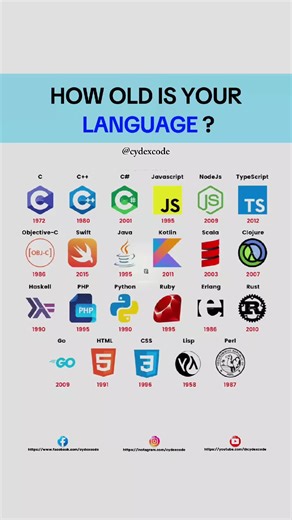 What Programming Language Do You Speak? Find Out Here!