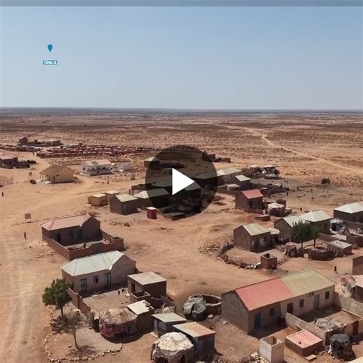 🚨 Somalia is on the brink of a major humanitarian emergency. ▪️A new report projects 6.5 million people face crisis levels of hunger or worse by March - driven by a national drought… | World Food Programme Eastern and Southern Africa