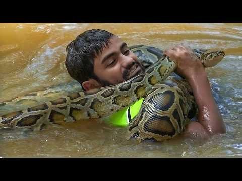 Giant Python Attacks Hunters : Real Life Horror! 5