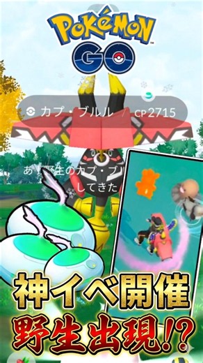 【番外編】野生のカプ・ブルルを捕獲せよ!!【ポケモンGO】