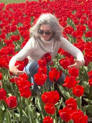Floresça no seu tempo como as Tulipas que esperam a estação certa!
