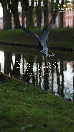 Surah Yusuf(سورة يوسف) 🎧💚| Abdul Basit Abdul Samad - | القارئ عبد الباسط عبد الصمد