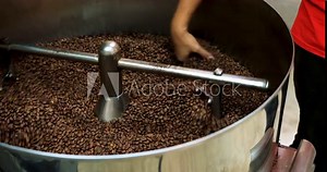 Coffee roaster machine at coffee roasting process. Mixing coffee beans. Roasted spinning cooler 4k video.