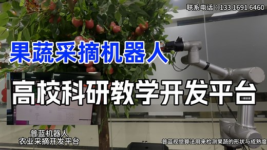 智慧农业机器人 果蔬采摘机器人 机械臂采摘 视觉算法 视觉定位 运动控制 无人系统 高校科研教学开发平台