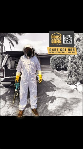 🐝 18th Bee Hive Saved in Adelaide this Season! Thank you, thank you and thank you. This marks our 18th rescued hive this season, and our partner beekeeper’s apiary is buzzing to the brim. Huge thanks to everyone who referred us, to our amazing House Care clients who already know us, and to all the new lovely people choosing to save bees instead of choosing a treatment. Because of you, we have already saved more bees than last year. This marks our 18th rescued hive in the 2025 season, and our pa