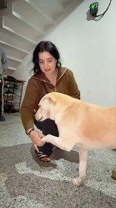 Isna mujha HELLO kiya 😅🥰🐶🐾🦮 | Himani Kotwal