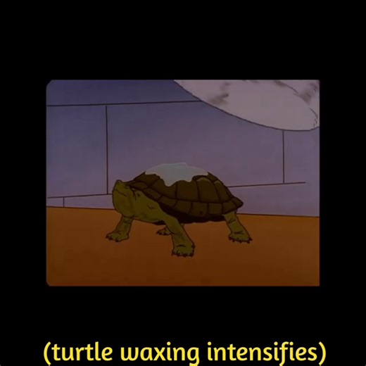 21K views · 361 reactions | Being a turtle dad is no joke. #kingofthehill #turtledad | Rusty Shackleford (Dale Gribble) | Facebook