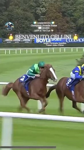 BENVENUTO CELLINI Wins Champions Juvenile Stakes!