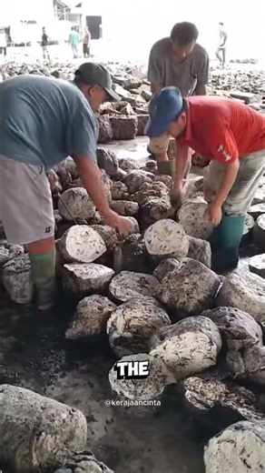 Why Cut Rubber Blocks in Half