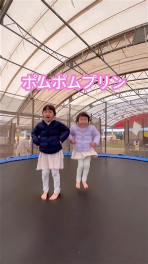 【トランポリンしてみた】ポムポムプリン🍮 #dance #shorts #cute #pompompurin #sanrio #jump