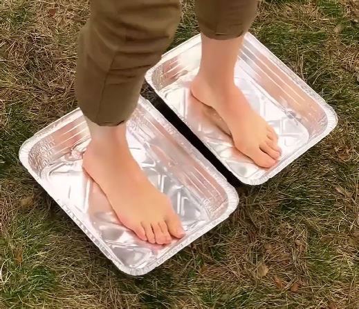 Camping Secrets That Will Amaze You