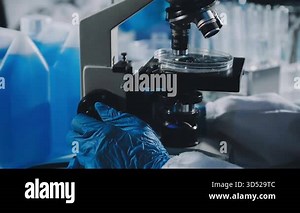 close up of microscope in laboratory Stock Video Footage - Alamy