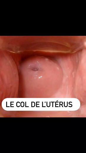 Le Col de l'utérus | Maman 3.0 et Vous ?