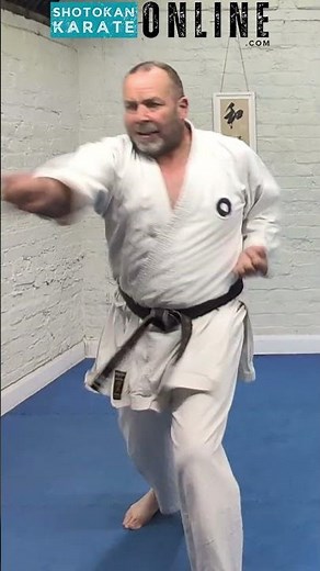 5 Basic Shotokan Combinations #karate #shotokan
