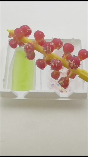 なるなるグミの実の作り方