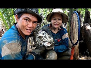 Không Ngờ Cái Ngọn Nhỏ Mà Quá Xá Cá Luôn /Đạt Nguyễn Cần Giờ