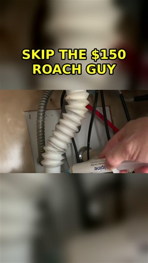 The $150 Roach Fix You Can Do Yourself