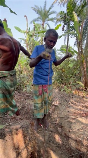 For 40 years, the family has been living by pulling up tree roots. #reels #vairal #shorts