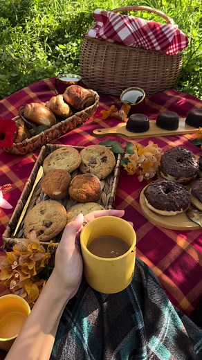 Best Fall Picnic Ideas with Friends 🍁🍂🤎