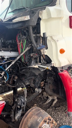 Diesel solutions (@diesel.solutions1)’s videos with original sound - Todounpocoecu