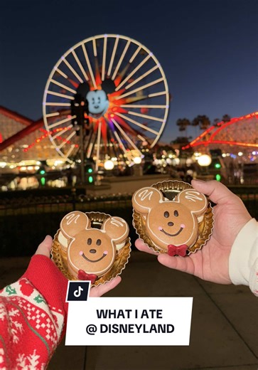 holiday disney eats 🎄❤️✨ #whatieatinaday #mealideas #eatwithme #wieiad #disneyland