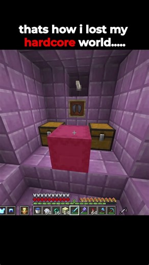 Thats how i lost my hardcore world #minecraft