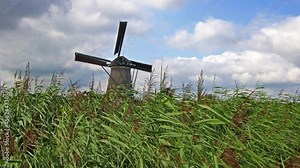 Traditional ancient windmills in the Dutch countryside. Outdoor tours and family bike tours in the Dutch countryside among the windmills. Netherlands typical landscape, tradional attraction park