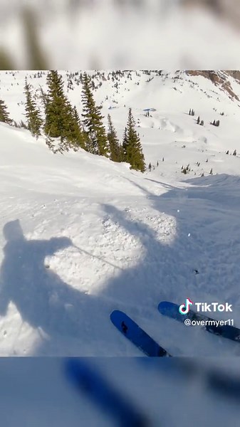 Exploring Snowbird Resort: A Skier's Paradise