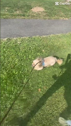 Runninnnnng