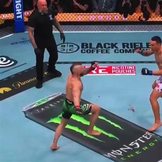 Been waiting all year for that…..//tags:#ufc329 #ufc #connormcgregor #maxholloway #fyp