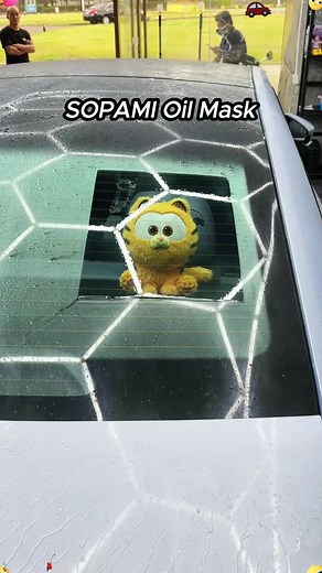 Effective Windshield Cleaning Techniques for a Spotless Finish