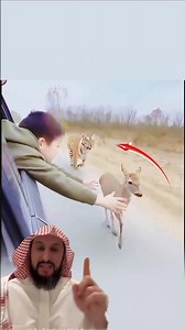 لا تتردد في المساعدة فقد تكون سببًا في إنقاذ روحٍ ضعيفة 🤗 #اكسبلور #لايك #اقتباسات #tranding #art