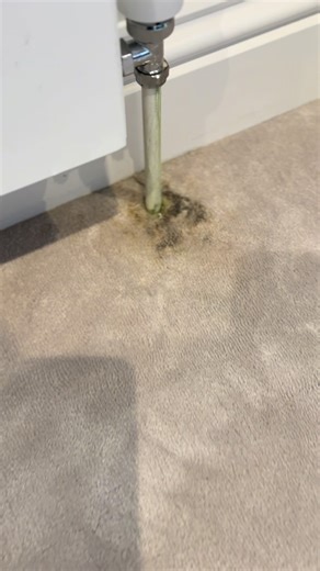 This stain was caused by a radiator leak, which had left behind a heavy oily sludge deep within the carpet fibres. When something like this happens it’s rarely just a simple surface stain. The sludge works its way down into the pile and can often leave behind dark water marks and rust staining from the radiator itself. Rather than rushing straight over the area, the first step is applying a targeted treatment and allowing it time to settle into the fibres. Giving the product proper dwell time he