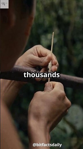 The Most Isolated Tribe on Earth: Hidden from Modern Civilization