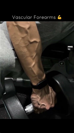Ultimate Guide to Insane Vascular Forearms and Grip Strength Training