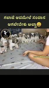 142K views · 10K reactions |  ಕದನಕ್ಕೆ ಸಂದಾನ...