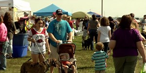 DogFest happening in Springfield on Saturday