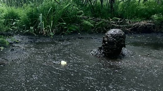 Exploring the Masurian Bogs: Treasure or Trap?