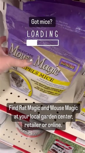 1.3K views | ‘tis the season for mice to move into warmer spaces - including your house, garage, or RV. Mouse Magic uses a special formula of natural ingredients to deter mice, which includes peppermint and spearmint essential oils. Both are safe to use around people and pets, when used as directed, and the packs are biodegradable. Learn more and where to buy Mouse Magic in 4-Pack or 12-Pack, or Rat Magic granules at Bonide.com. | Bonide | Facebook